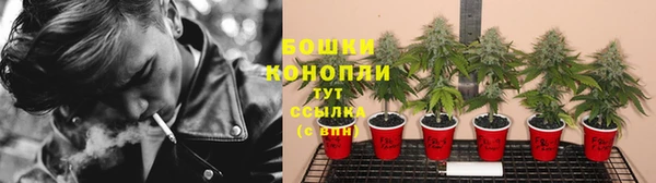 mdpv Арсеньев