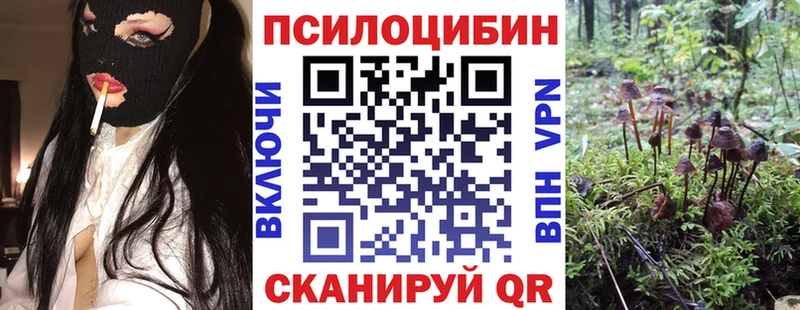 Галлюциногенные грибы MAGIC MUSHROOMS  цена   Волжск 